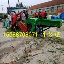 長沙青儲(chǔ)打捆機(jī) 專業(yè)廠家與服務(wù)，賦能糧食加工食品生產(chǎn)