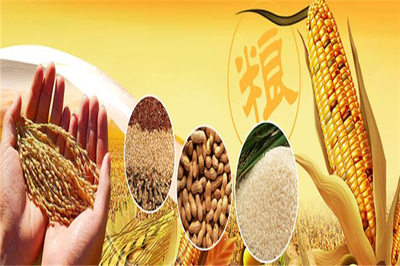 豐園農(nóng)副食品 深耕糧食加工，守護(hù)百姓餐桌安全與營養(yǎng)