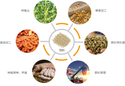 谷實(shí)生物成功完成創(chuàng)業(yè)板上市輔導(dǎo)，2020年?duì)I收突破17億元，糧食加工食品生產(chǎn)領(lǐng)域再添強(qiáng)將